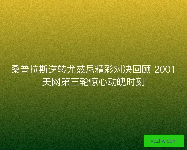 桑普拉斯逆转尤兹尼精彩对决回顾 2001美网第三轮惊心动魄时刻