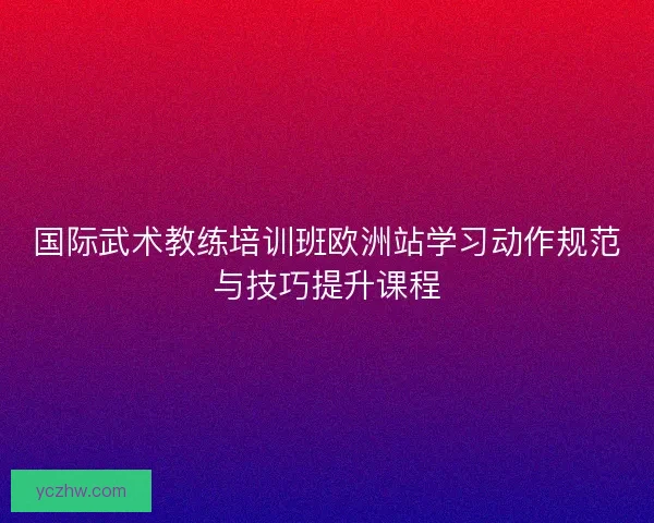 国际武术教练培训班欧洲站学习动作规范与技巧提升课程